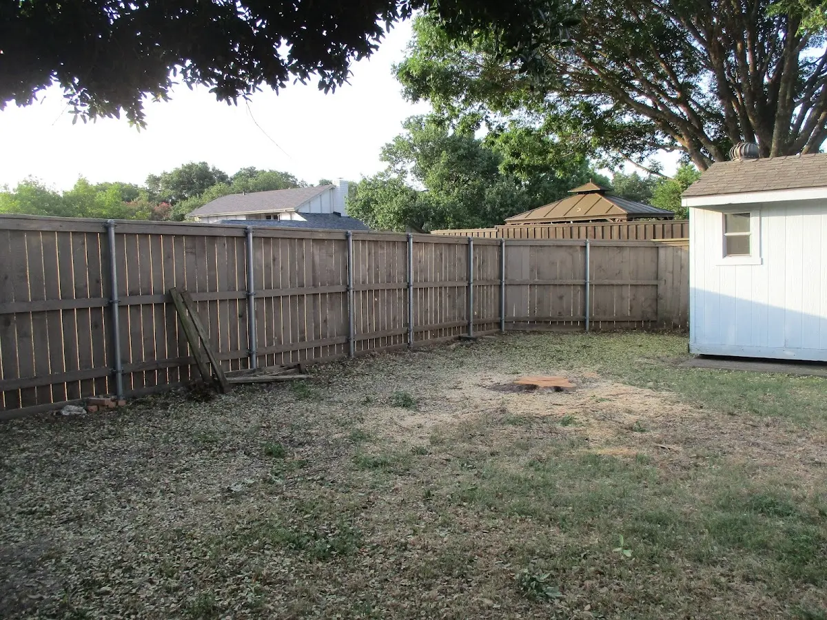 Cleared yard after professional tree removal in Nunn